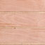T1-11 Plywood 4-inch